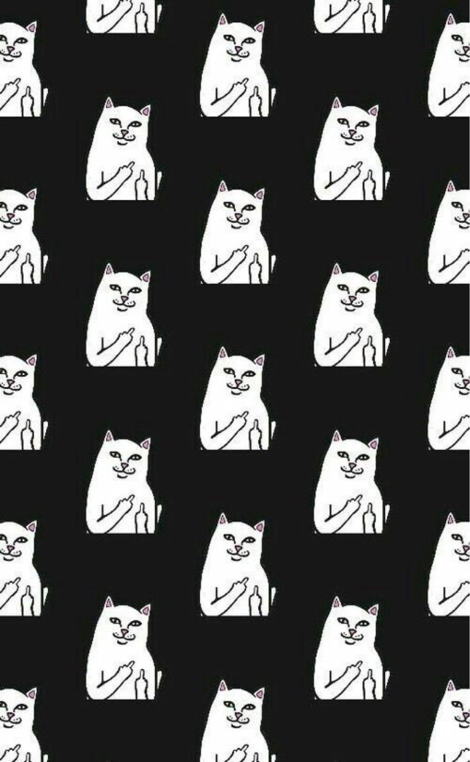 Коты с факами