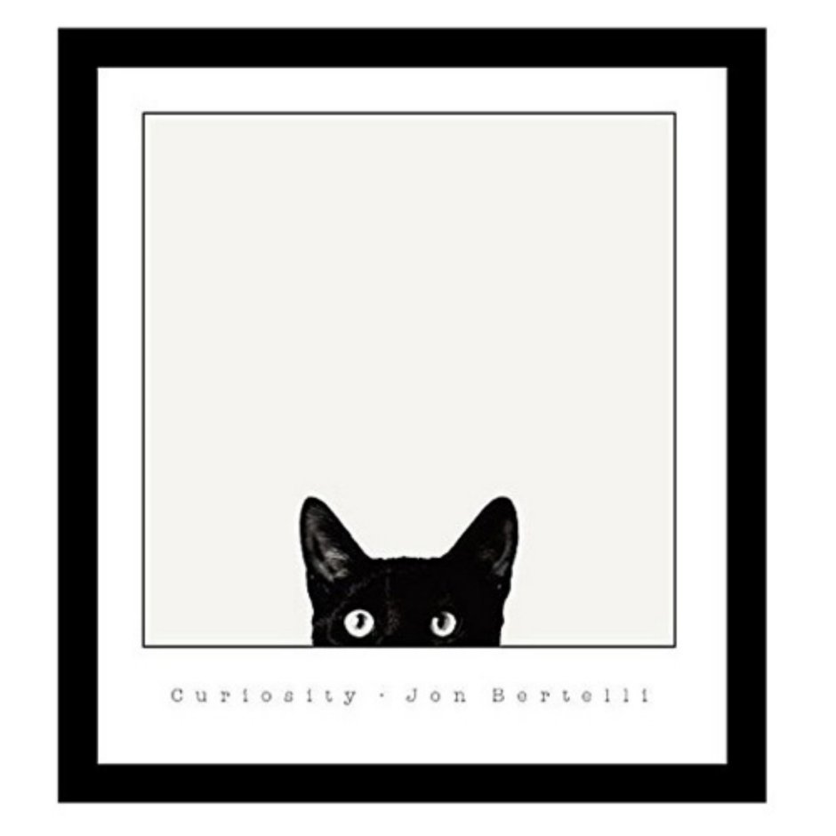 Постер кот на белом фоне