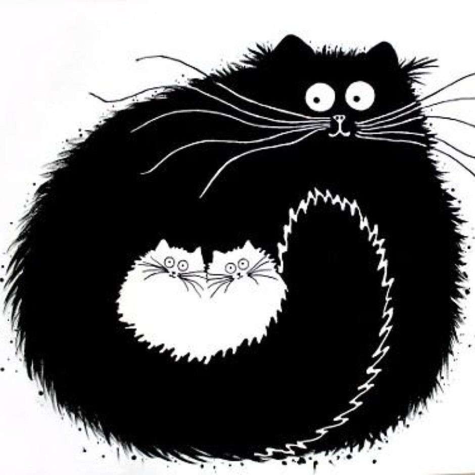 Черно белая кошка