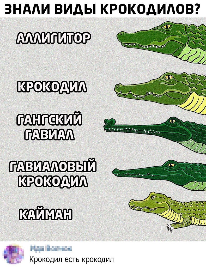 Гигантский гребнистый крокодил