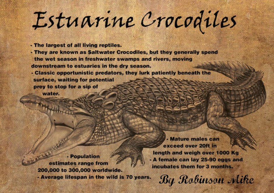 Фурри Аллигаторы самцы