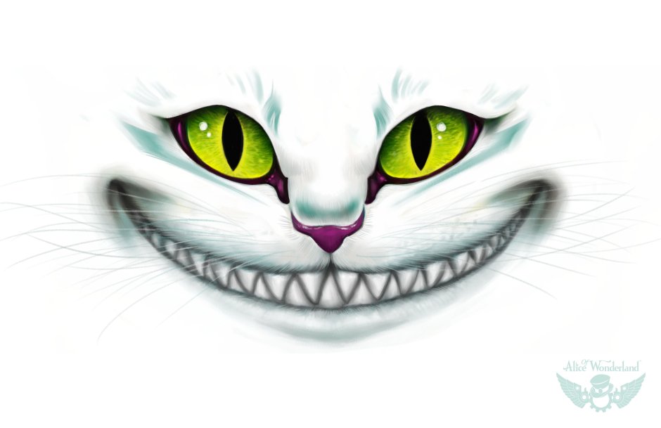 Кот с улыбкой до ушей