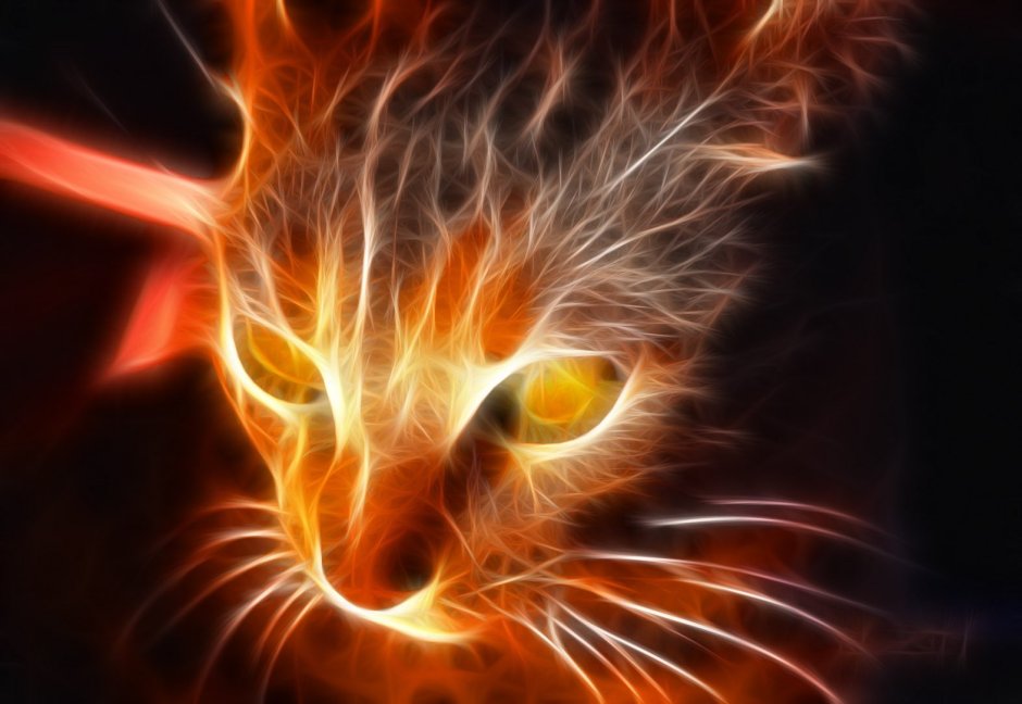 Огненная кошка