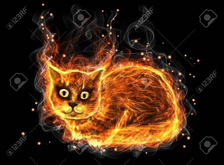 Огненный кот