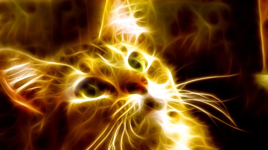 Огненная кошка