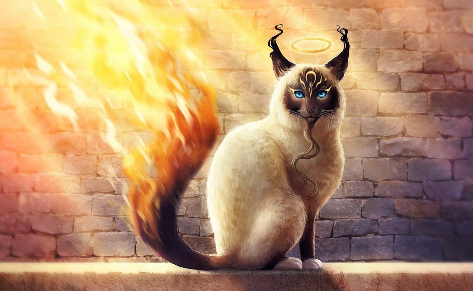 Кот в огне