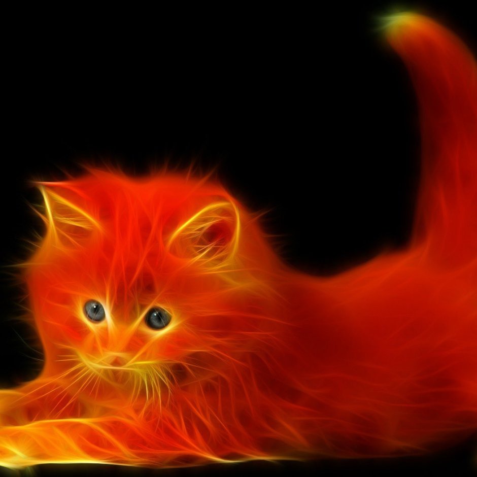 Разноцветный кот неонов