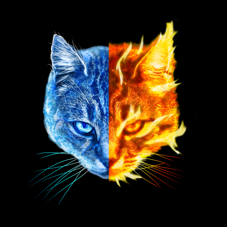 Коты Воители Огненная река