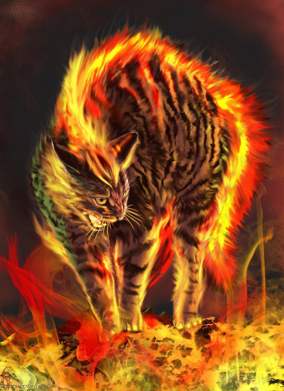 Коты Воители огонь