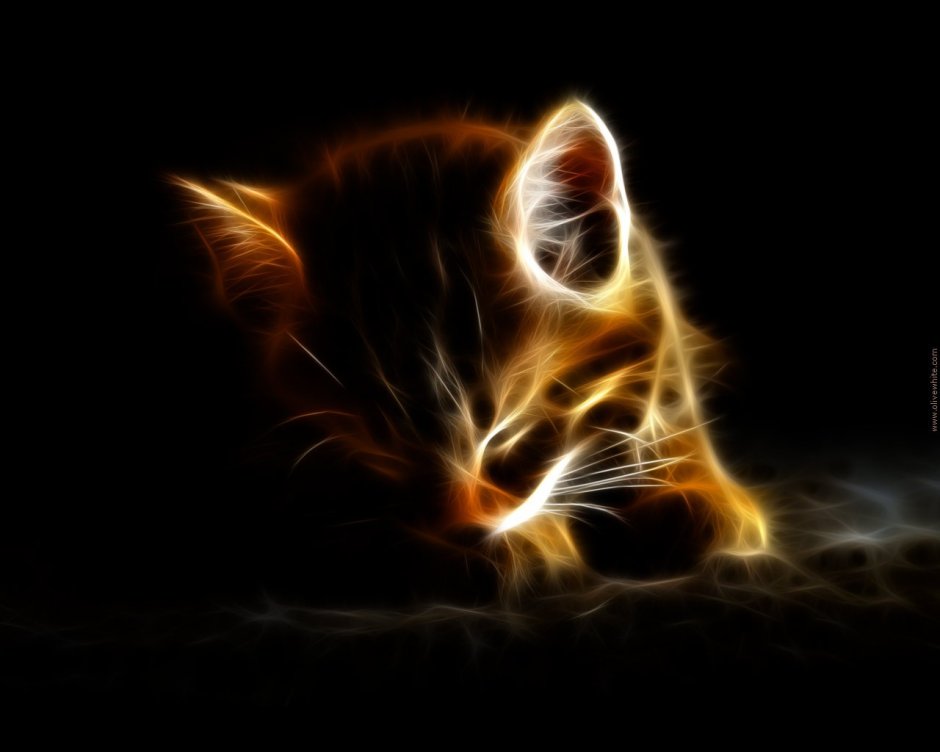 Кот в огне