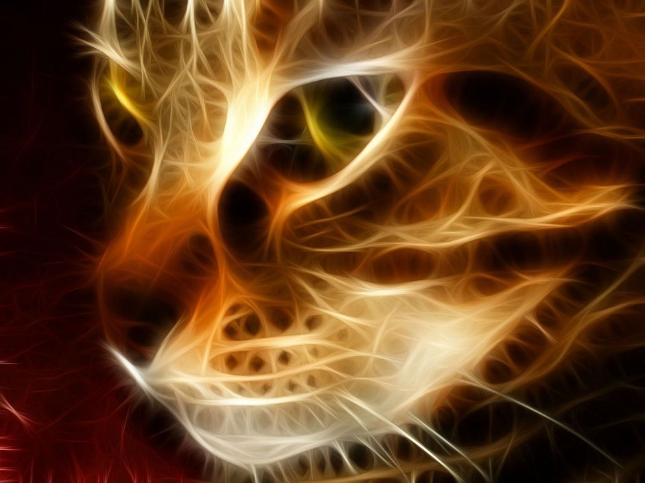 Кот с огненными глазами