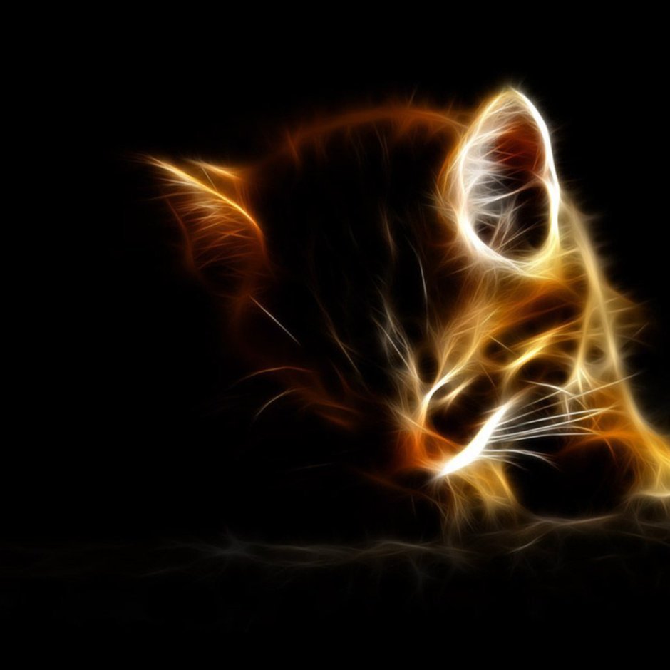 Огненная кошка Эстетика