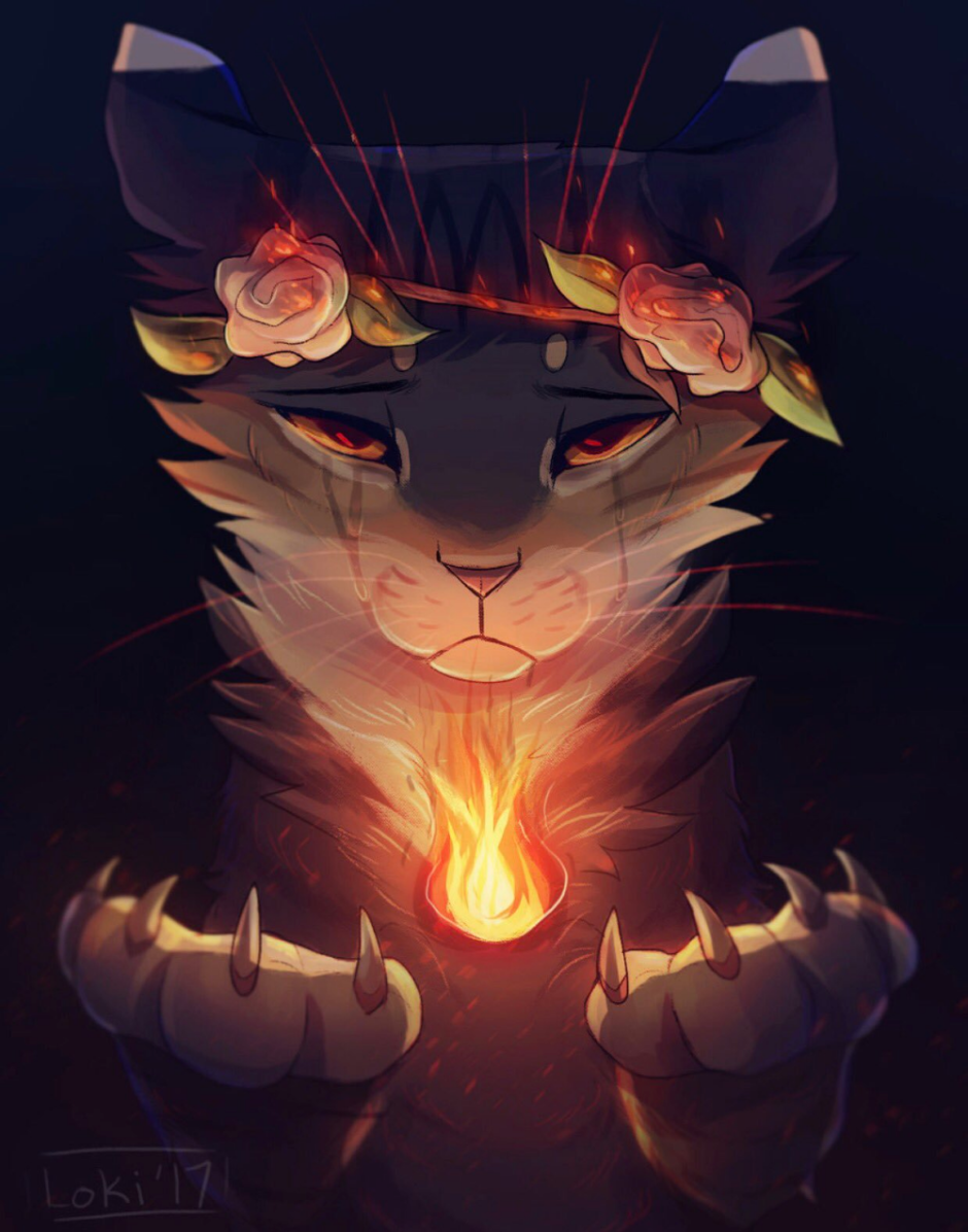 Кот с огненными глазами