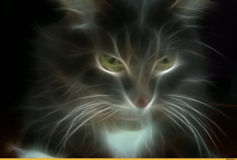 Коты Воители Огнезвёзд смерть