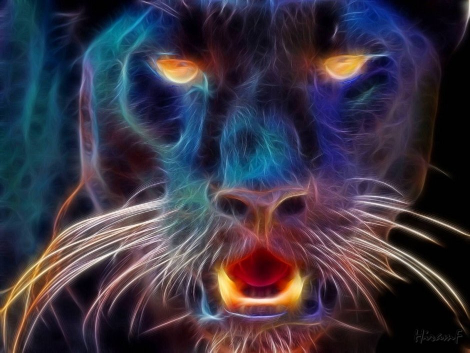 Коты Воители призрак