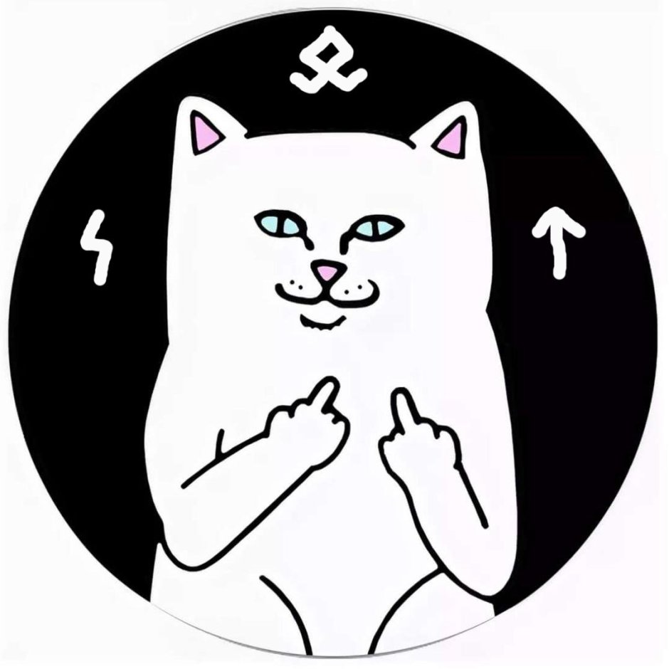 Кот с факом