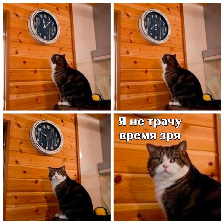 Мем с котом и часами