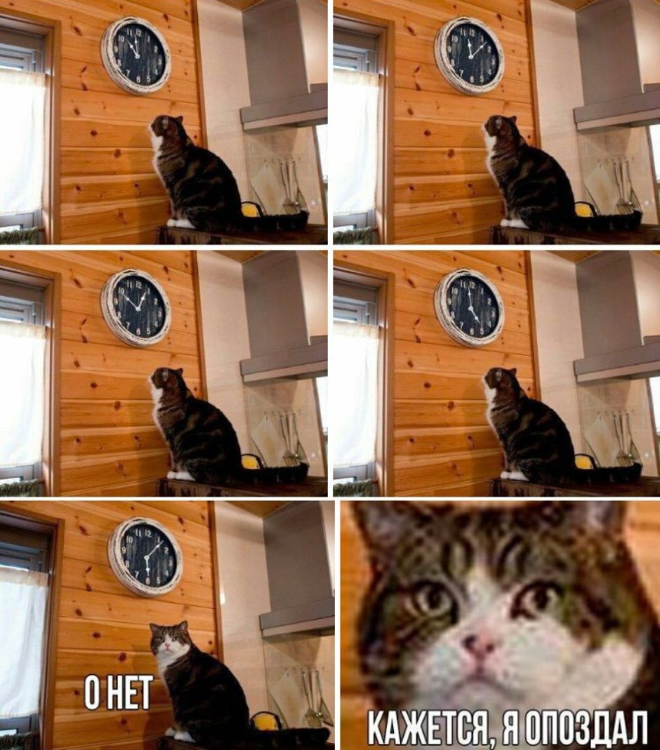 Кот кажется я опоздал
