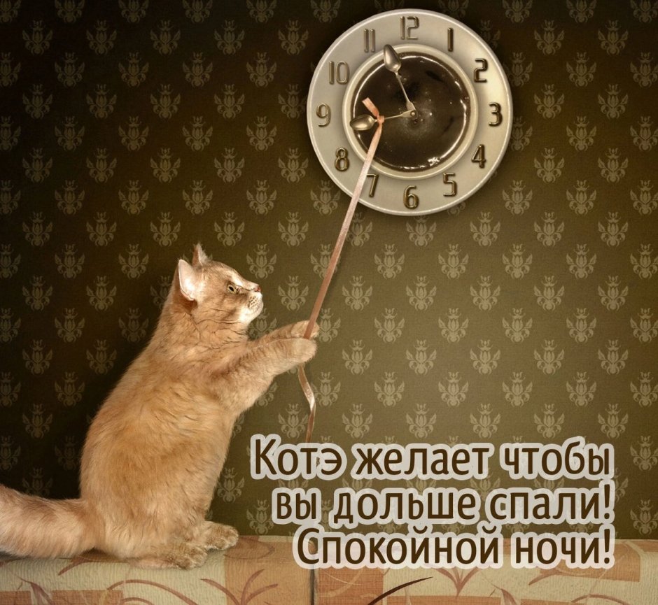 Спокойной ночи картинки прикольные