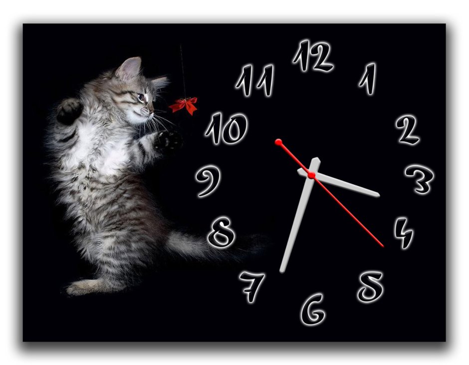Котом и часами исходник