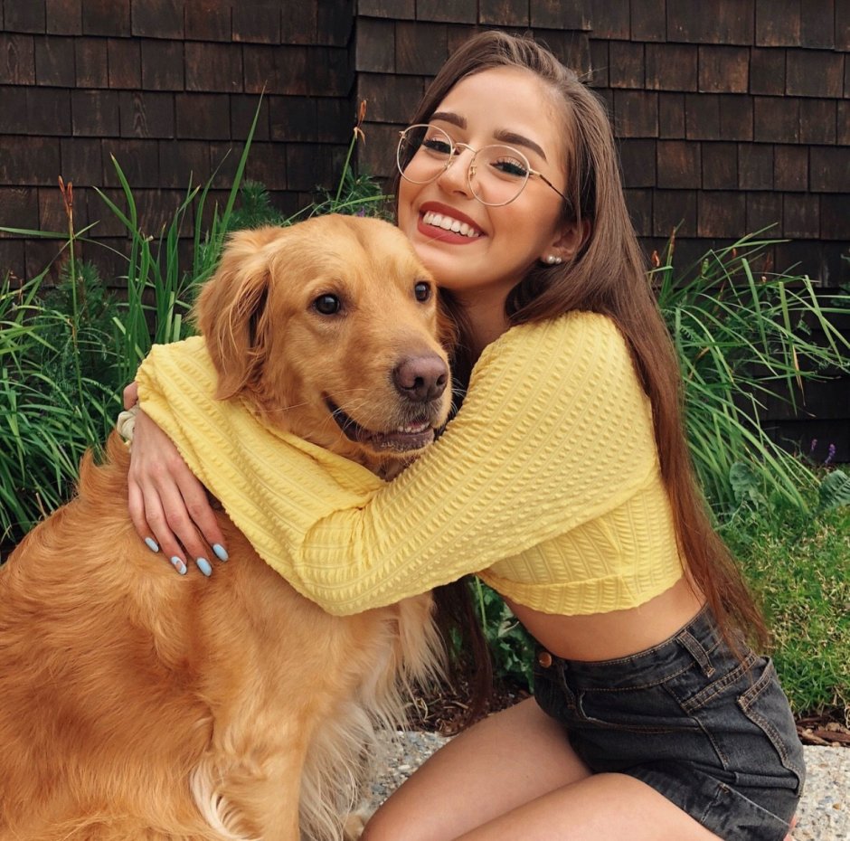 Собака хаски самоед