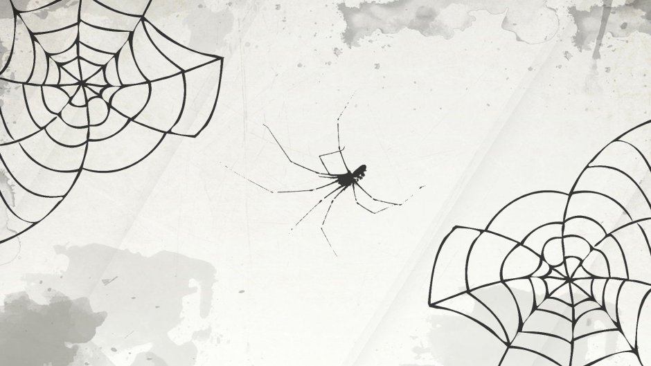 Micrathena sagittata