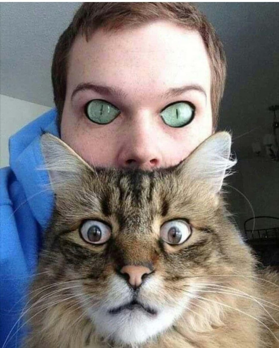 Зрачки животных