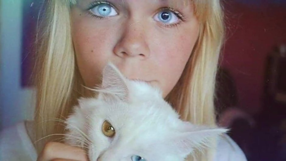 Зрачки кота