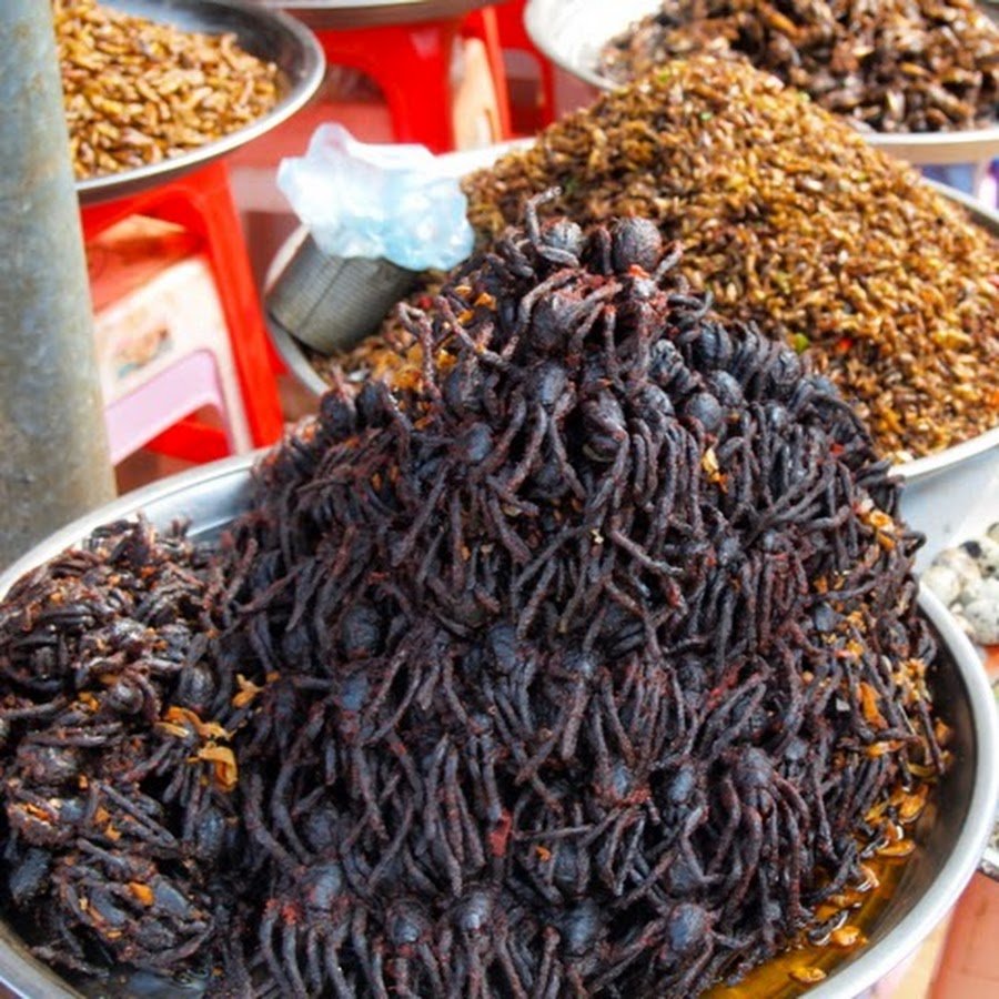 Тарантул тайский