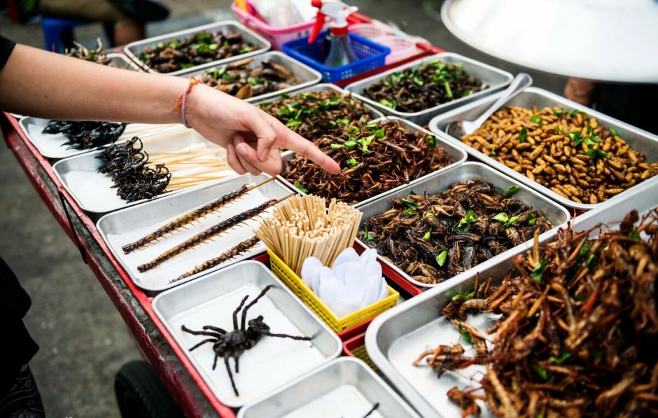 Рынок в Тайланде с насекомыми