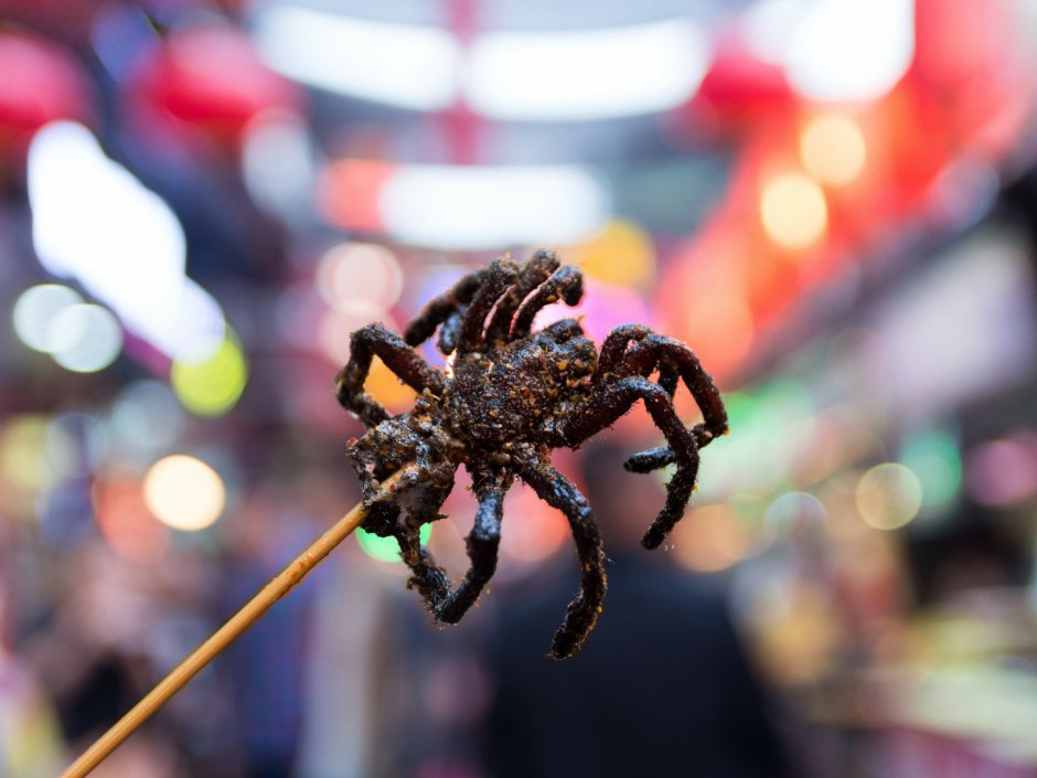 Жареный паук птицеед