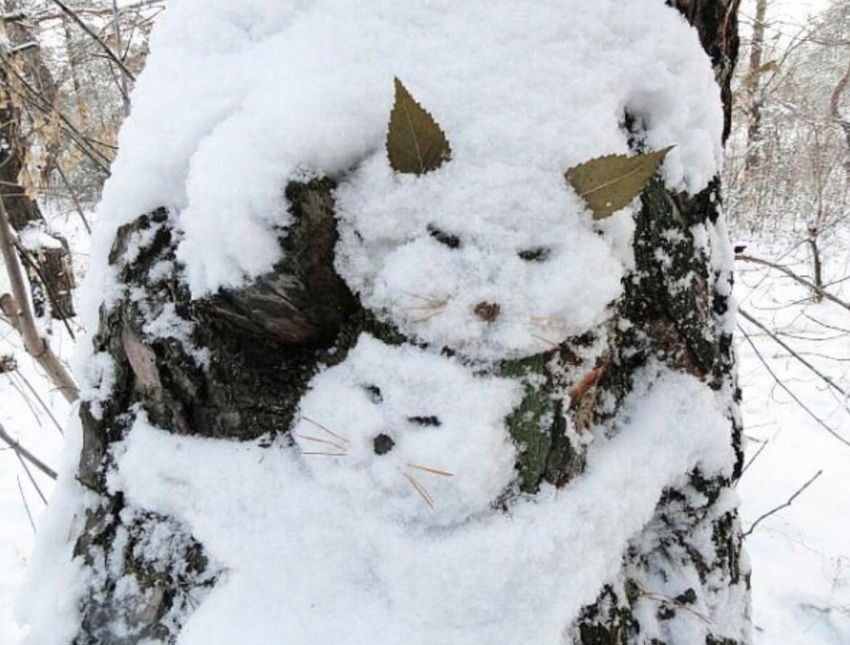 Снежные коты на дереве