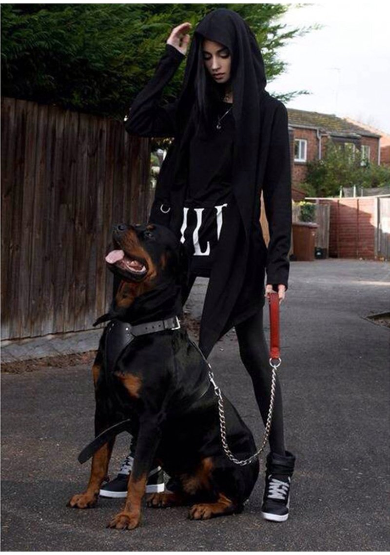 Фелис фавн с ротвейлером