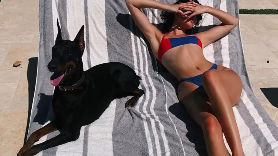 Доберман Кайли Дженнер