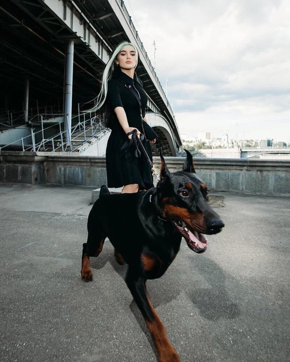 Дина Исаева с доберманом