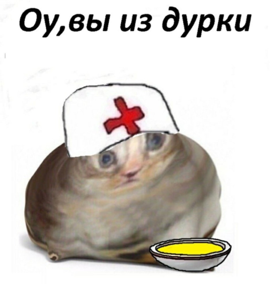 О вы из Дурки Мем с котом