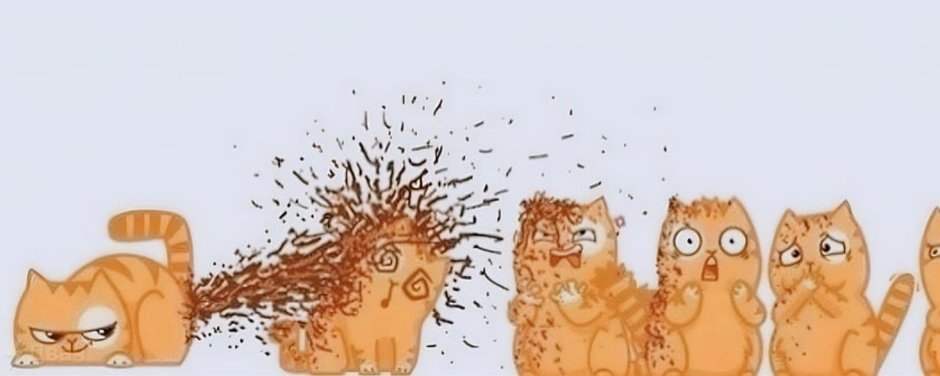 Кот персик с членом