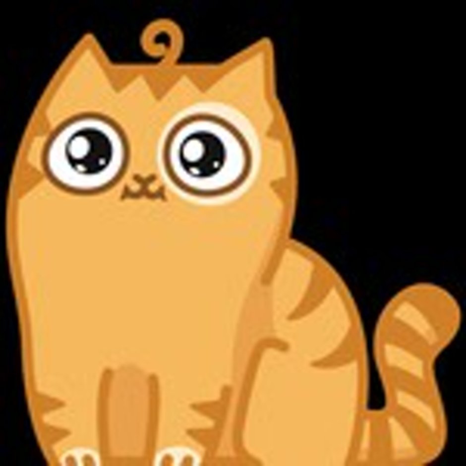 Стикер недовольный кот