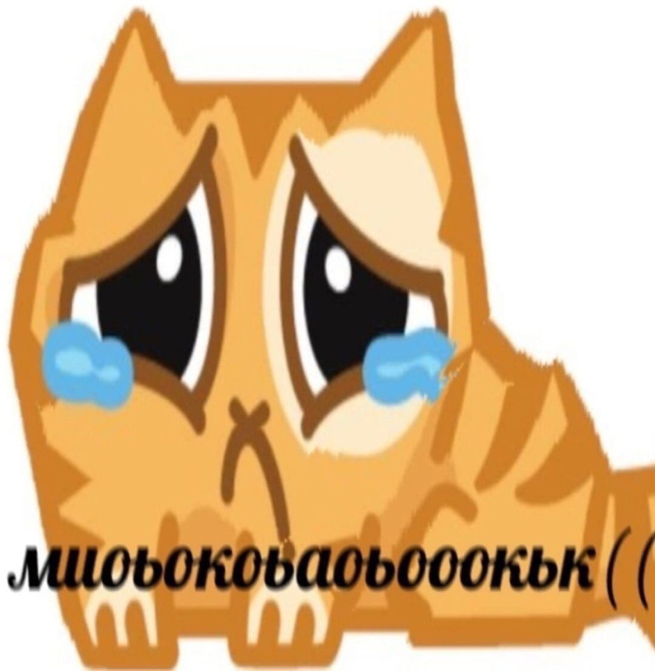 Кот персик Мем