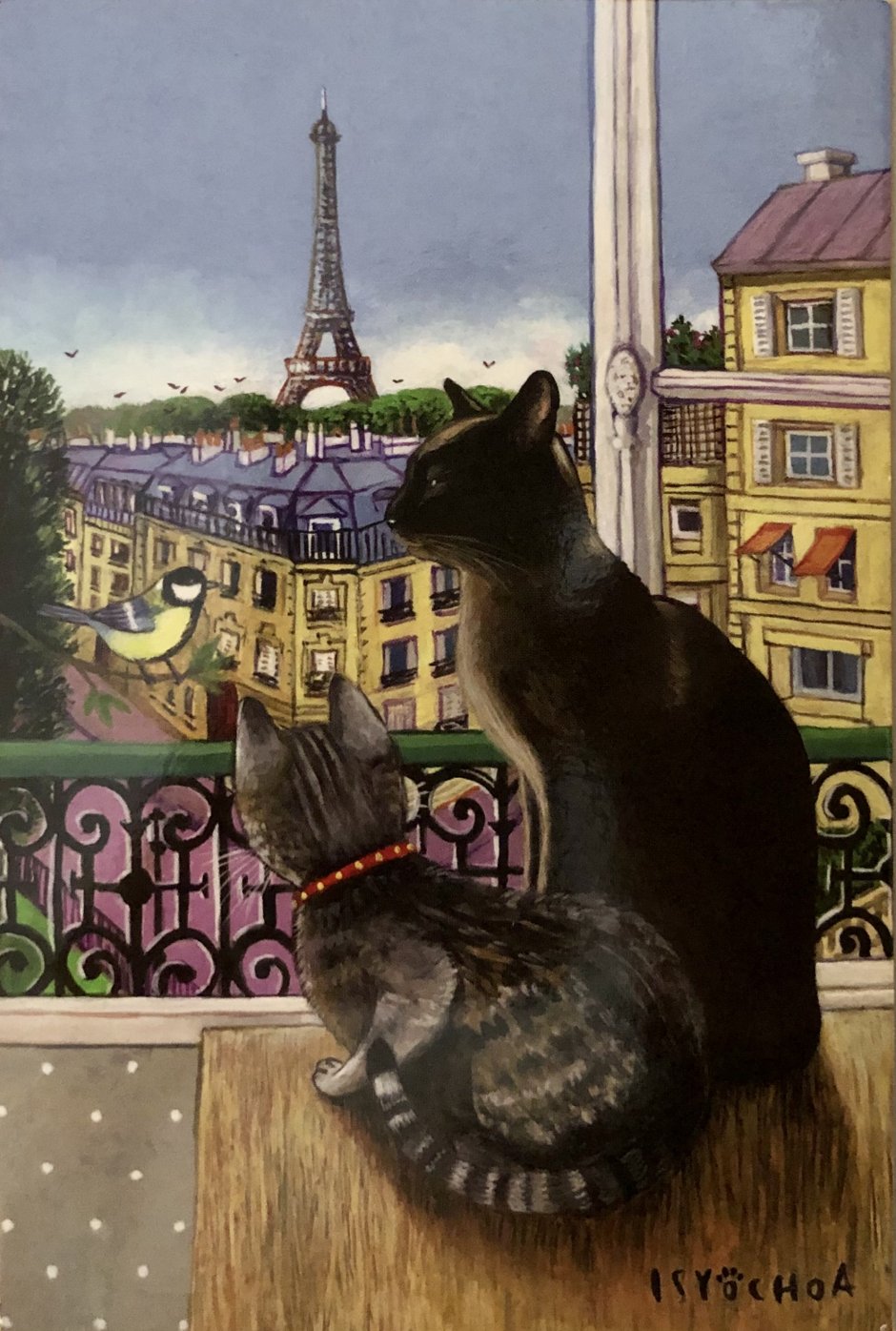 Котики в Париже