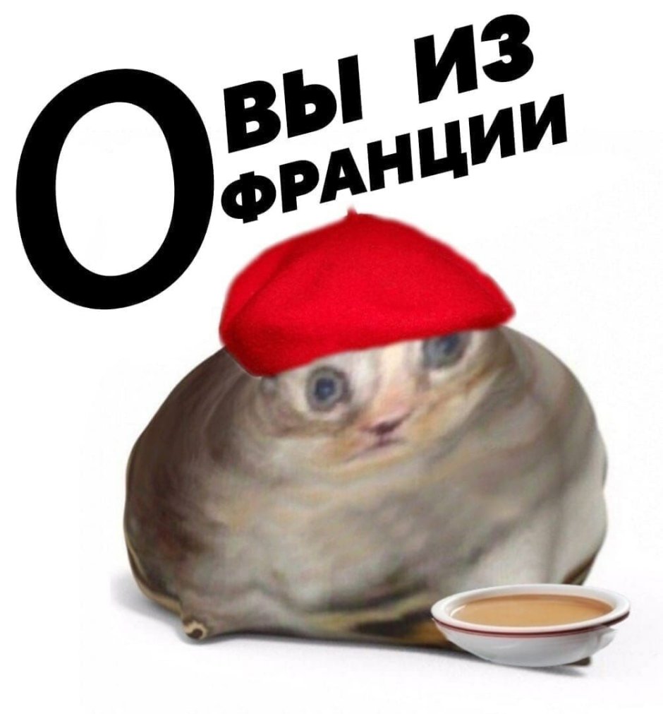 О да вы из Франции