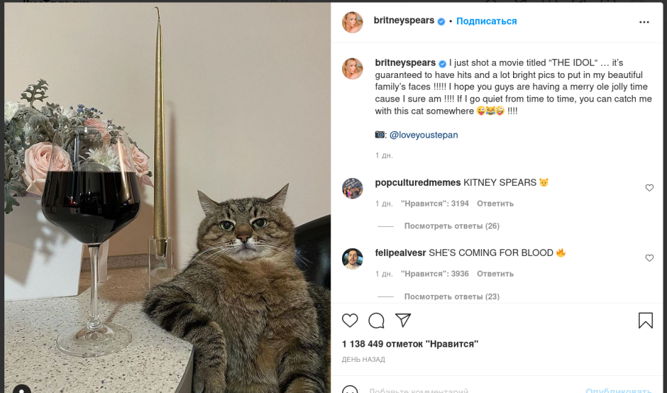 Харьковский кот Степан