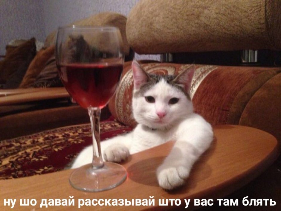 Щенок в бокале