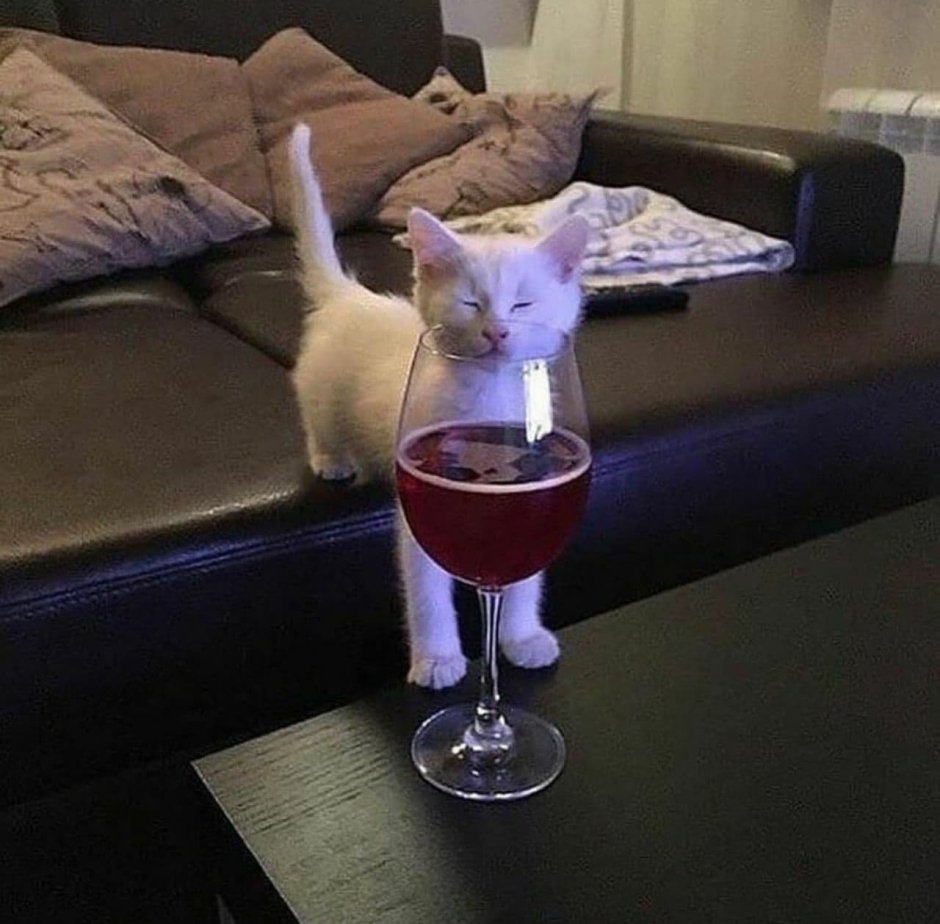 Вино для кошек