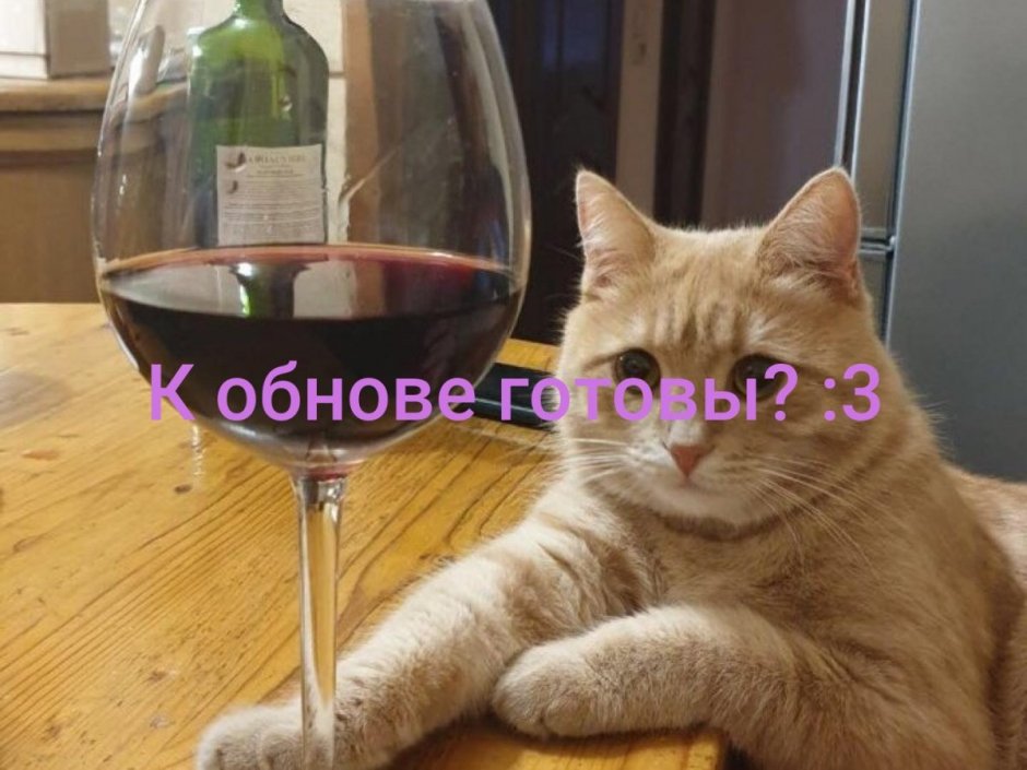 Пьяный кот