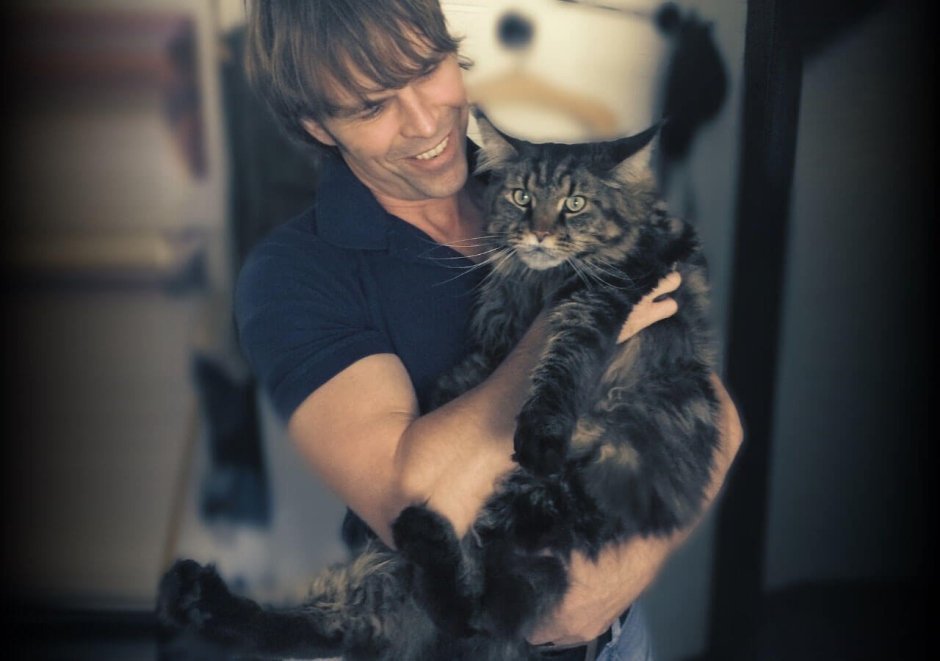 Мейн кун Паши воли