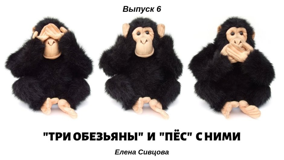 Обезьяна за столом