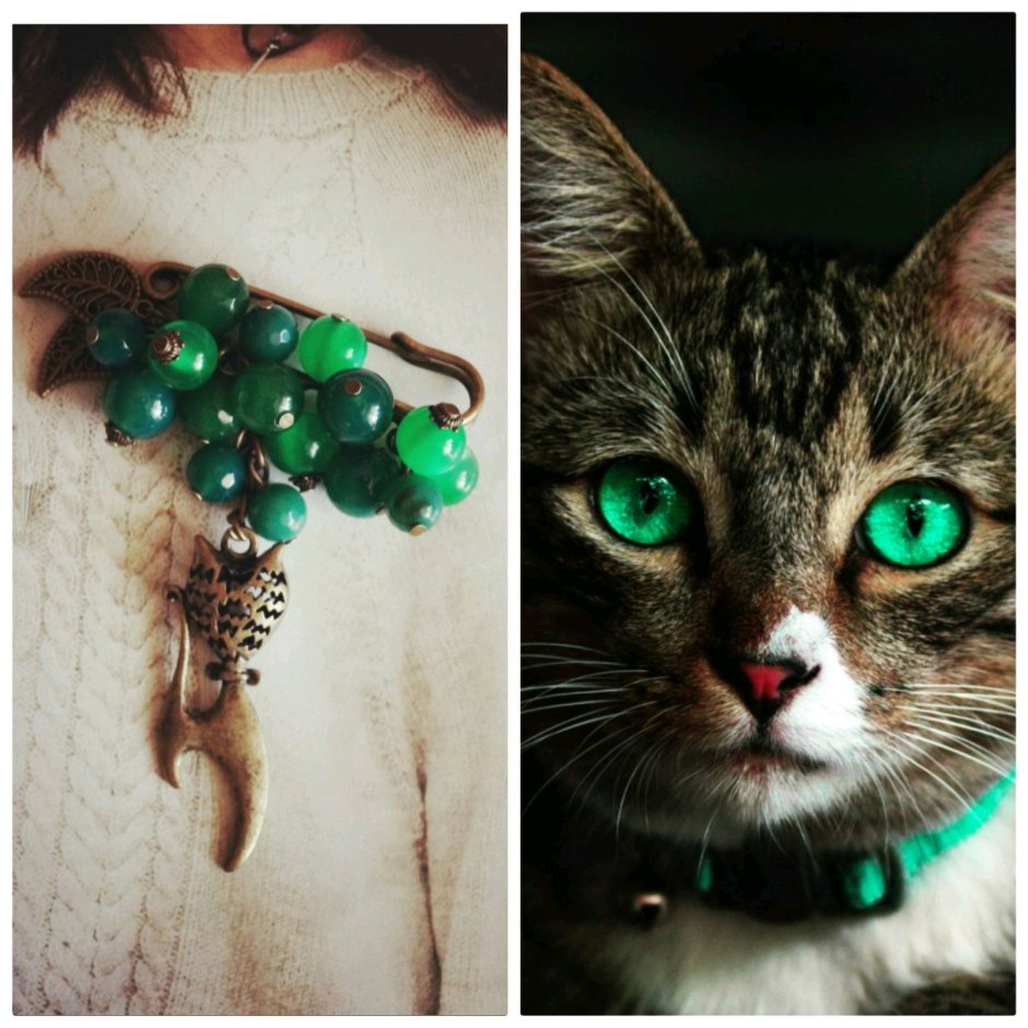 Булавка кошка