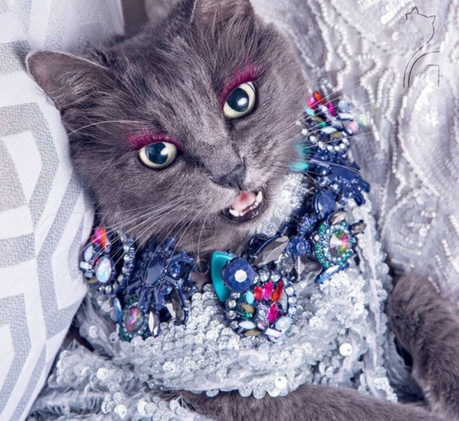 Кошка Бусинка
