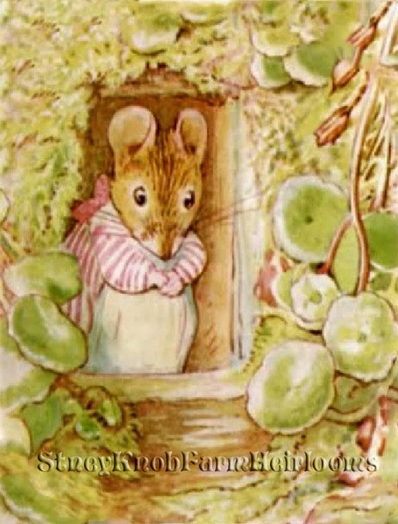 Кролик Питер иллюстрации миссис Мыштон